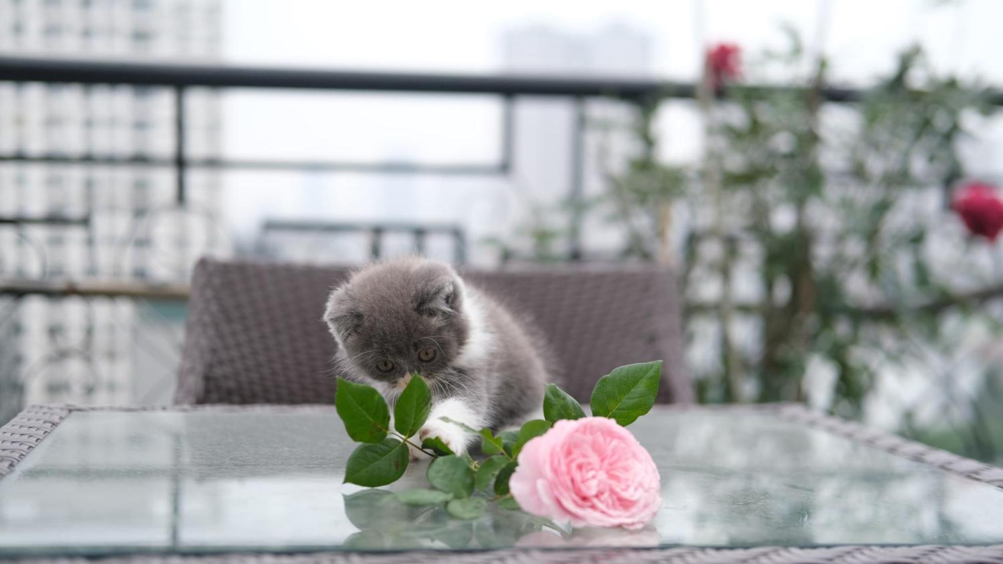 The Bloom Hanoi - Bespoke Living Екстер'єр фото