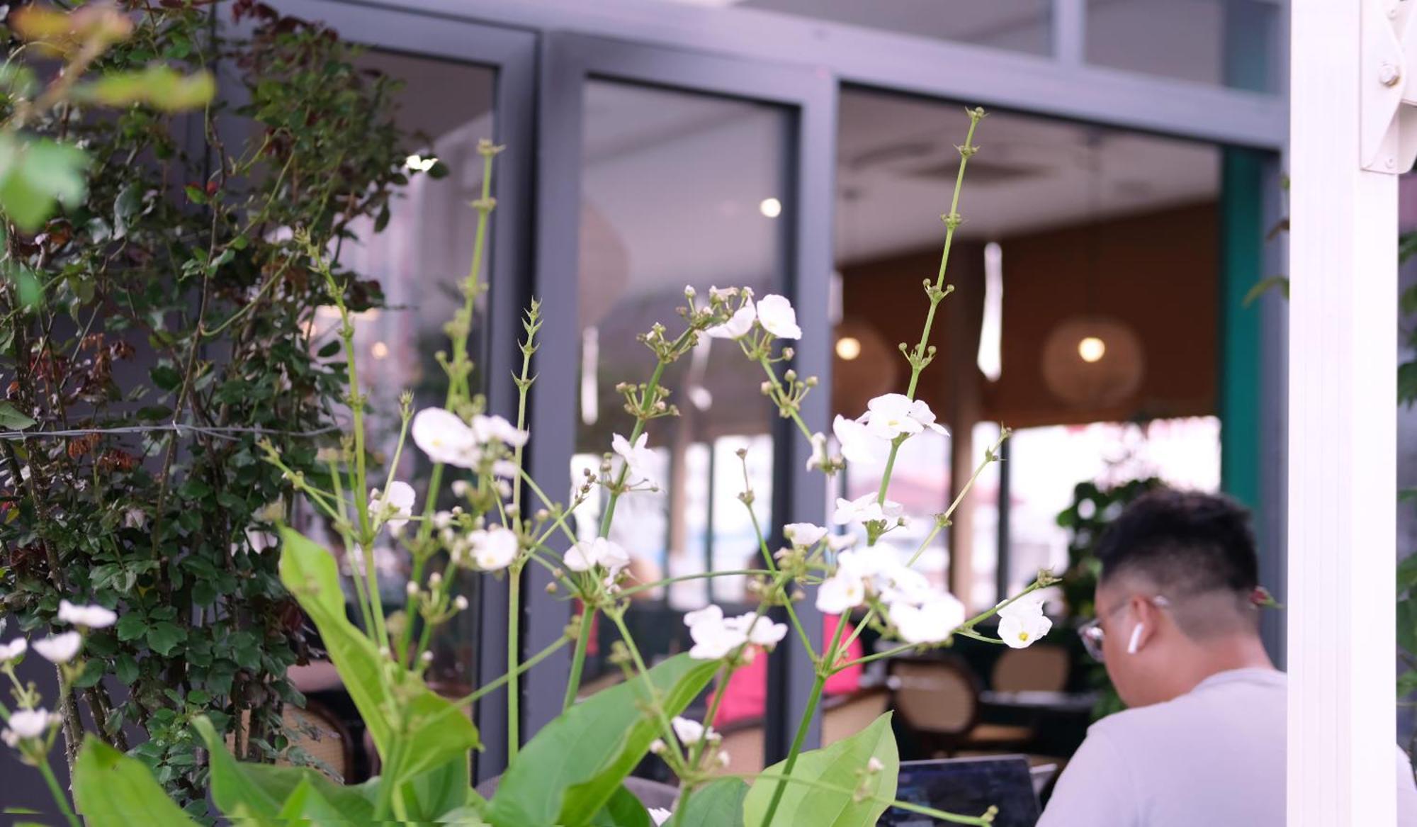 The Bloom Hanoi - Bespoke Living Екстер'єр фото